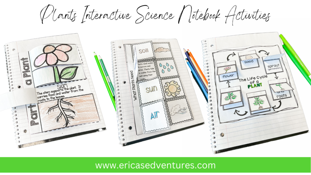 interactive science notebook: plants