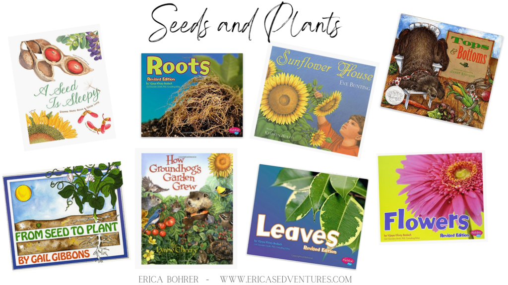 Seed and Plant Themed Picture Books