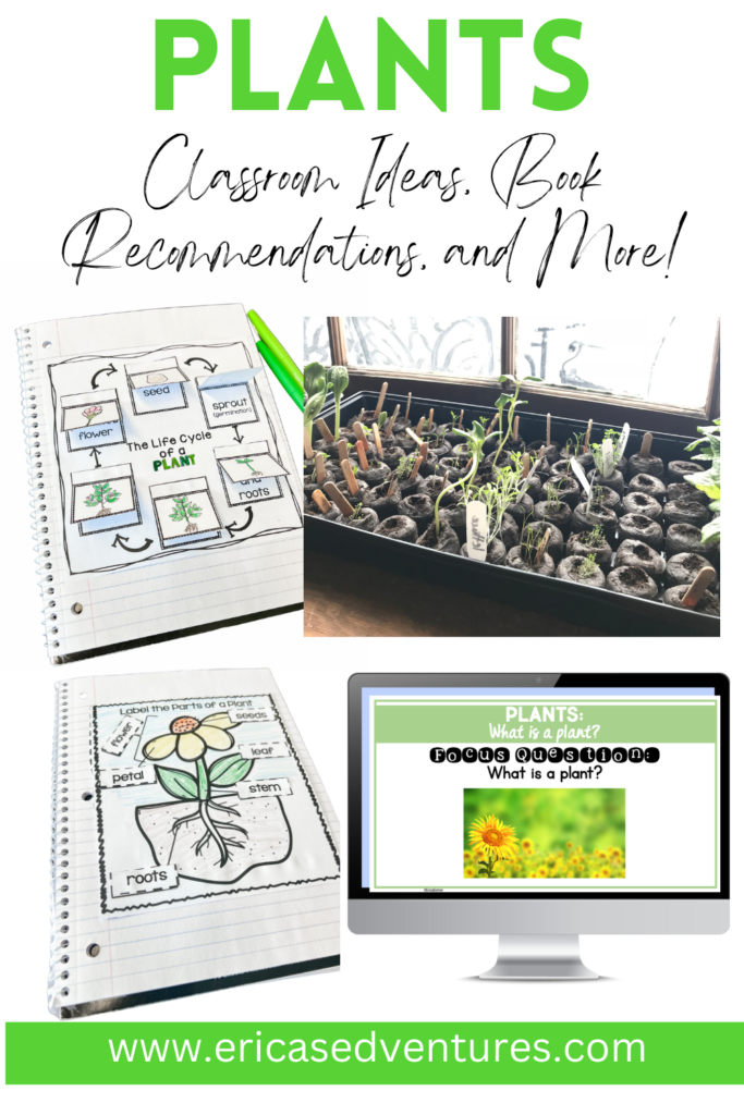 Plants Classroom Ideas