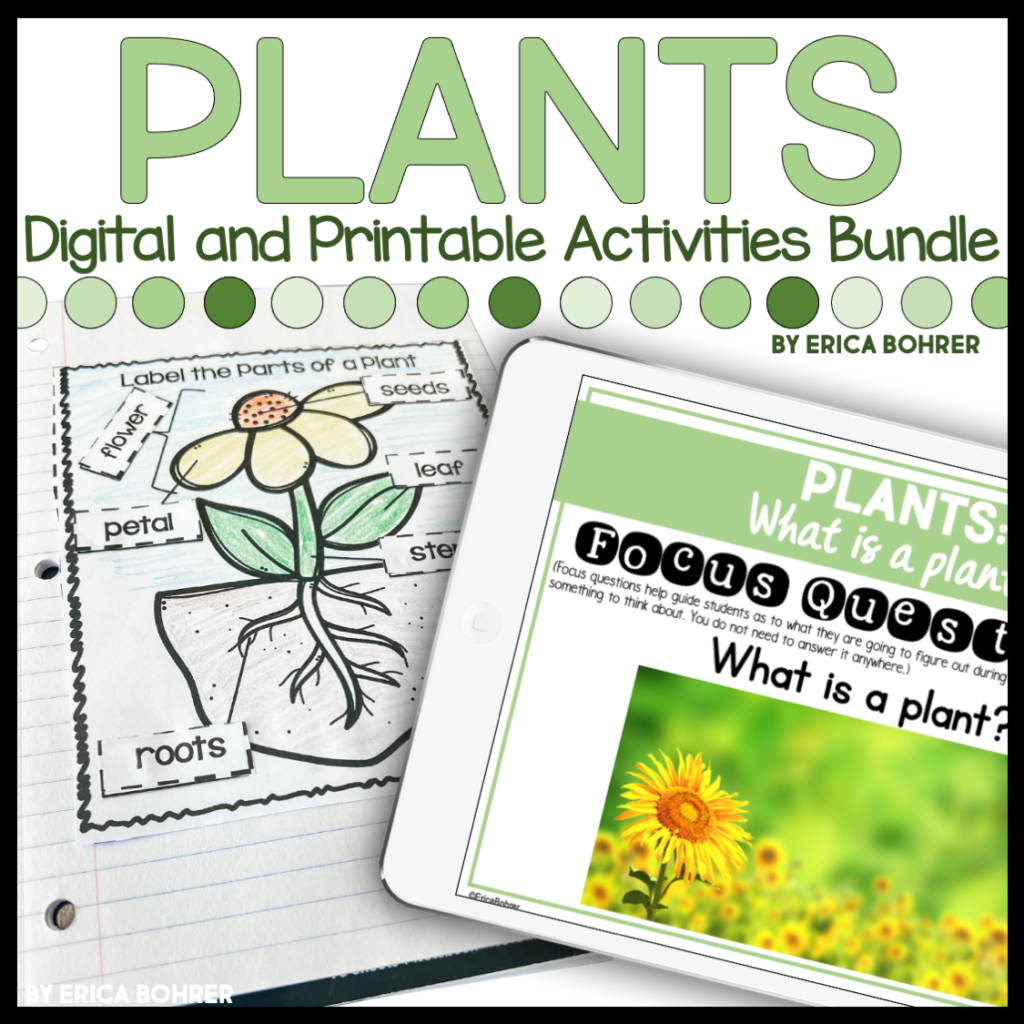 Plants digital and printable activities